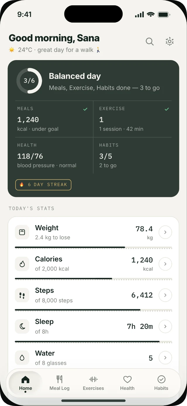 Himmat home screen with the day's balance and today's stats